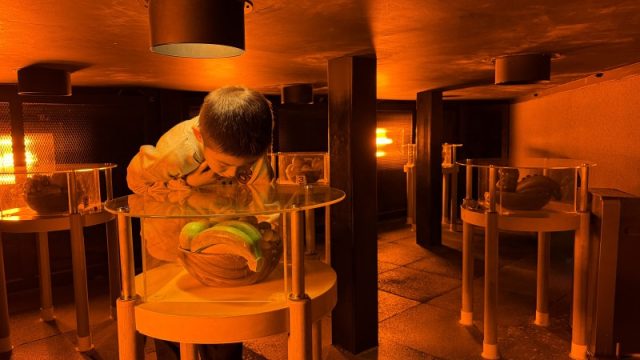 山梨県立科学館　子ども遊び場