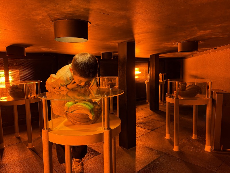 山梨県立科学館　子ども遊び場