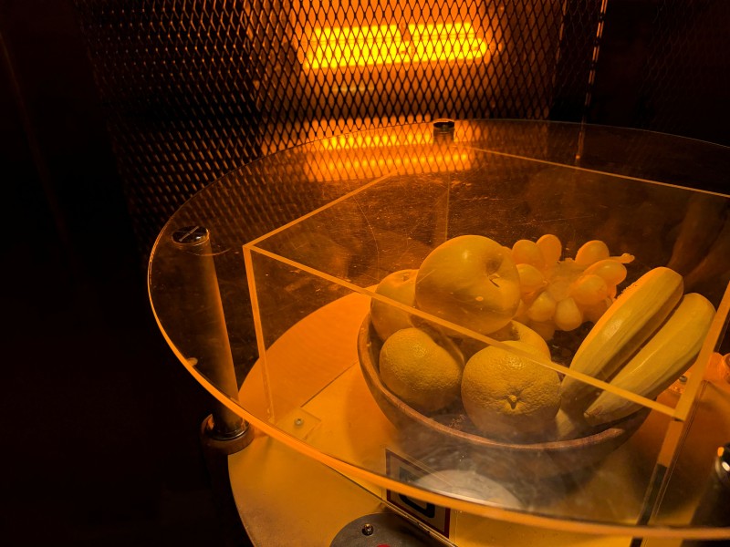 山梨県立科学館　子ども遊び場　こどもの国　山梨　移住