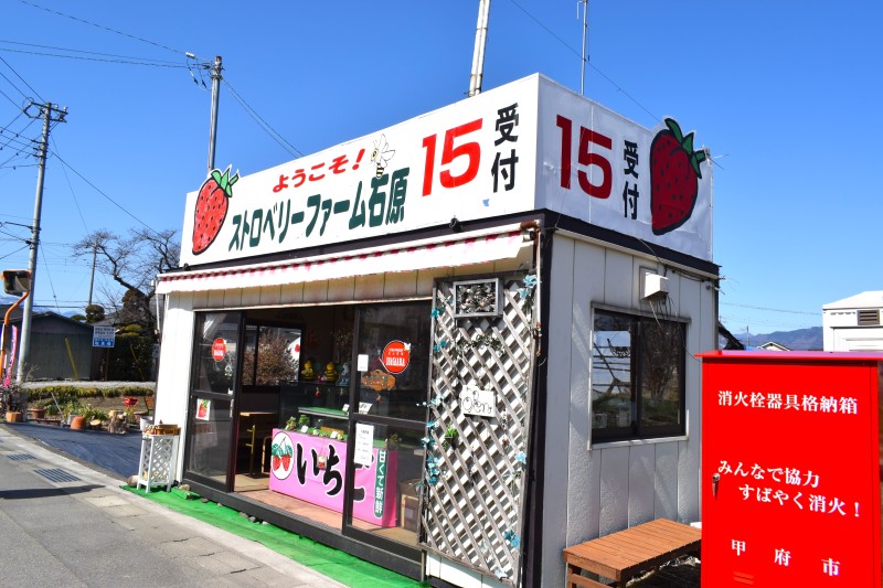 いちご狩り,富士山,甲府