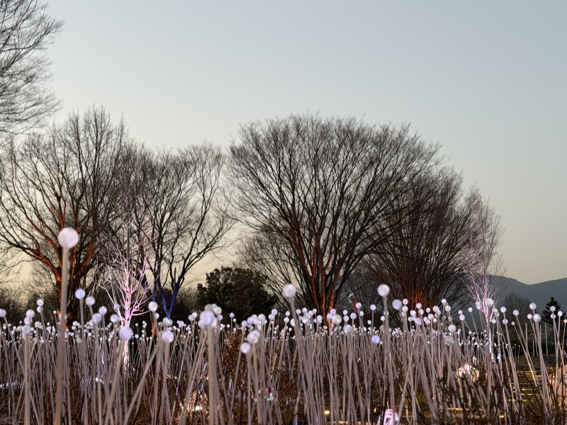 ハーモニーオブライトの会場