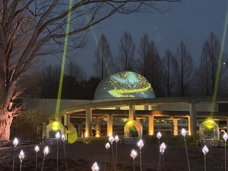 ドームに映し出される映像