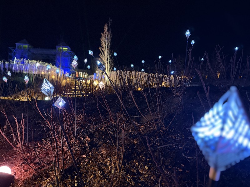 ハーモニーオブライトの幻想的な光