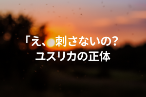 ついてくる蚊柱「え、吸わないの？」ユスリカが蚊じゃない理由に驚いた話